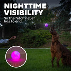 Outward Hound by Planet Dog Strobe Light Up LED Ball Dog Toy, Purple