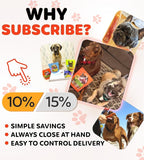 Chicken Jerky Wrapped Rawhide Sticks - Supports Dental Health Dog Treats, Grain Free, High Protein, Low-Calorie - Real Chicken - Chews, 12 oz