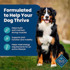 Blue Buffalo Life Protection Formula Adult Dry Dog Food, Helps Build and Maintain Strong Muscles, Made with Natural Ingredients, Fish & Brown Rice Recipe, 15-lb Bag