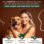 MASSTICK Bully Sticks for Dogs 7 Inch – Extra Thick, Long Lasting, Odor Free Beef Dog Chew Sticks – All Natural, Fully Digestible Treats for Small & Large Dogs – 8oz Bag