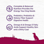 Wellness Complete Health Dry Dog Food, Small Breed, Grain Free, Natural, Turkey, Chicken, & Salmon Recipe (11-Pound Bag)