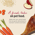 The Honest Kitchen Wholemade™ Whole Grain Turkey Dog Food, 4 lb Box