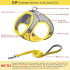 AIITLE Easy Walk Dog Harness and Leash Set - Pet Supply No Pull, Step in Adjustable Pet Harnesses with Padded Vest for Summer, No Choke Over, Easy to Put on Medium Dogs Yellow L