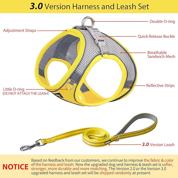 AIITLE Small Harness for Puppy with A Leash - Summer Dog Harnesses with Super Breathable Mesh, Reflective No-Pull Pet Vest for Outdoor Walking, Camping for XX-Small Dogs, Cats Yellow XXS