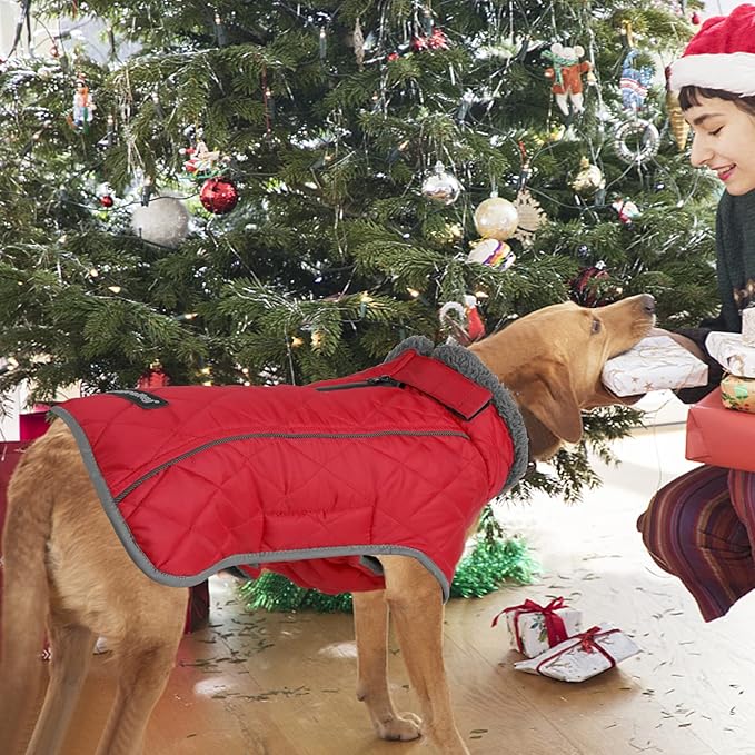 Fragralley Dog Coat Large, Waterproof Dog Jacket with Warm Fleece Lining, Adjustable Reflective Dogs Winter Coat, Turtleneck Pet Coats for Cold Weather (Red XXL)