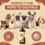 Everyday Dog Gravy Bacon – Premium Wet Dog Food Gravy Toppers for Dry Food – Tasty & Nutritious Dogs Gravy with Essential Vitamins and Supplements – Hip and Joint Supplement