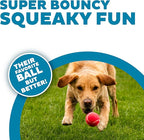 Outward Hound Squeaker Ballz 4-Pack Tennis Ball Dog Toys with Squeaker, Interactive Fetch Play for Pets Under 50 lbs, Training Balls for Indoor & Outdoor Exercise, Medium, 2.5-inch