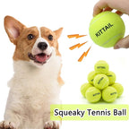 12 Pcs Squeaky Tennis Balls for Dogs - 2.58" Interactive Doggy Toys - Mini Safe, Durable for Small Medium Large Dogs Training Playing, with 1 Reusable Carry Bag