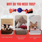 Small Puppy Toys - Puppy Teething Toys, Chew Toys for Dogs, Small Dog Rope Toys, Treat Dispensing Dog Toys for Puppy Training and Dental Health, Ideal for Dog Owners