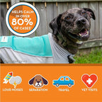 ThunderShirt Breeze for Dogs, X-Large, Aqua, Extra Breathable Mesh Fabric, Dog Anxiety Relief Vest for Every Day Stress & Calming During Thunder Storms and Fireworks