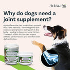Actistatin Canine Large Dog Soft Chews, 60ct – Patented Extra-Strength Joint, Cartilage, Soft Tissue Supplement: Glucosamine, Chondroitin, Manganese, MSM, L-Carnitine – High Absorption, Fast Results