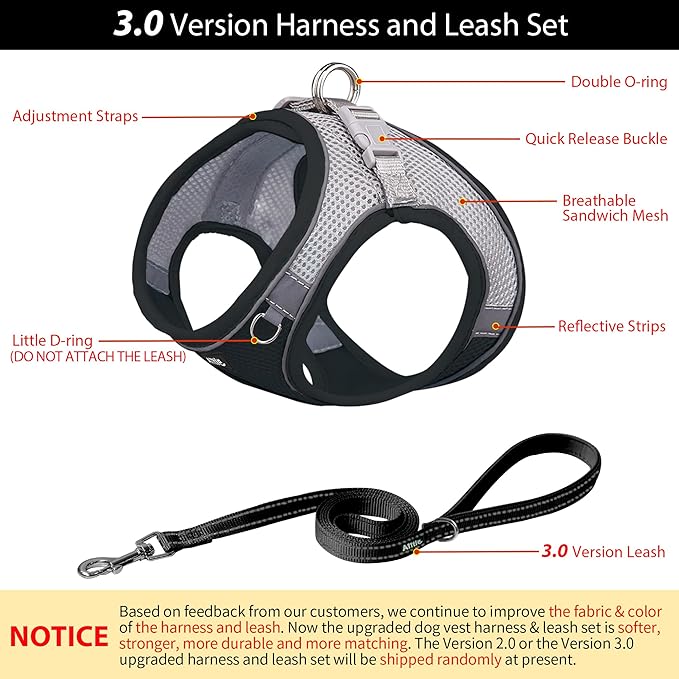 AIITLE Comfortable Dog Harness and Leash Set for Walking - Summer Step in Vest Harness,Reflective Bands, Adjustable No Pull Puppy Essentials, for Small Dogs and House Cats Black XS