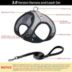 AIITLE Step in Dog Harness and Leash Set - Summer No Pull Escape Proof Vest Harnesses with Soft Mesh and Reflective Bands, Adjustable Pet Outdoor Harnesses for Small and Medium Dogs Black M