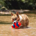 Chuckit! Fumble Fetch Dog Football - Outdoor and Indoor Interactive Dog Toy with Grooved Design for Easy Pickup - Made from Durable Rubber - Floats in Water - Small - Orange and Blue