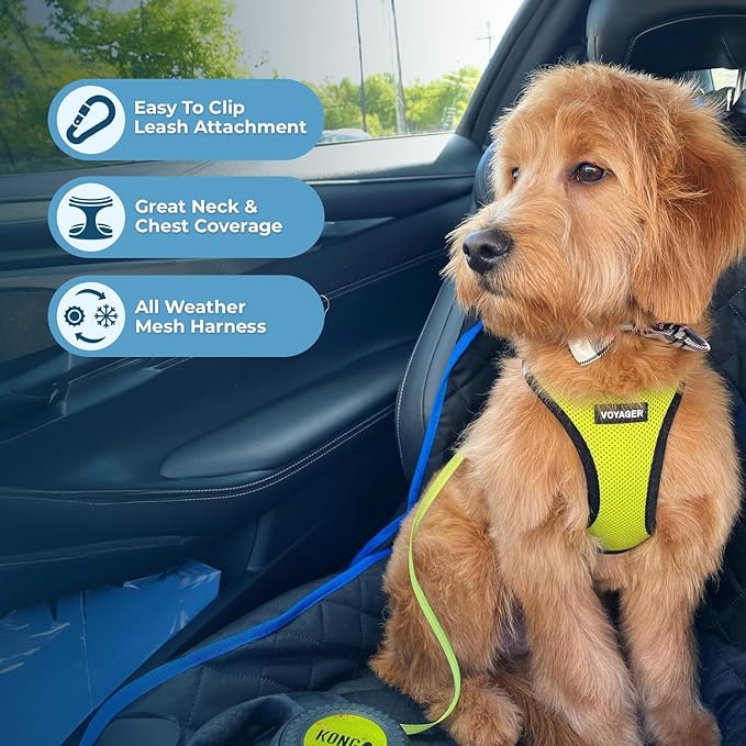 Best Pet Supplies Voyager Step-in Air Harness - All Weather Mesh, Reflective, No Pull Harness for Dogs, Cats - Secure with Hook & Loop Fastener, Buckle, Double D-Rings - Lime Green/Black Trim, XL