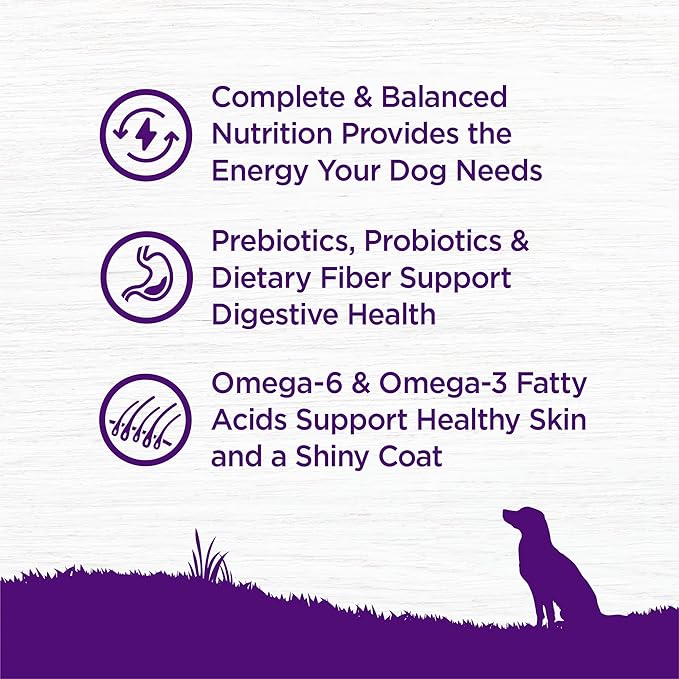 Wellness Complete Health Dry Dog Food, Wholesome Grains, Natural, Lamb & Barley Recipe, (26-Pound Bag)