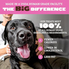 etta says! Big Yumm Sticks - Real Meat Pork Dog Jerky Treats - Human Grade - Made in The USA (12 Count Pack of 1)