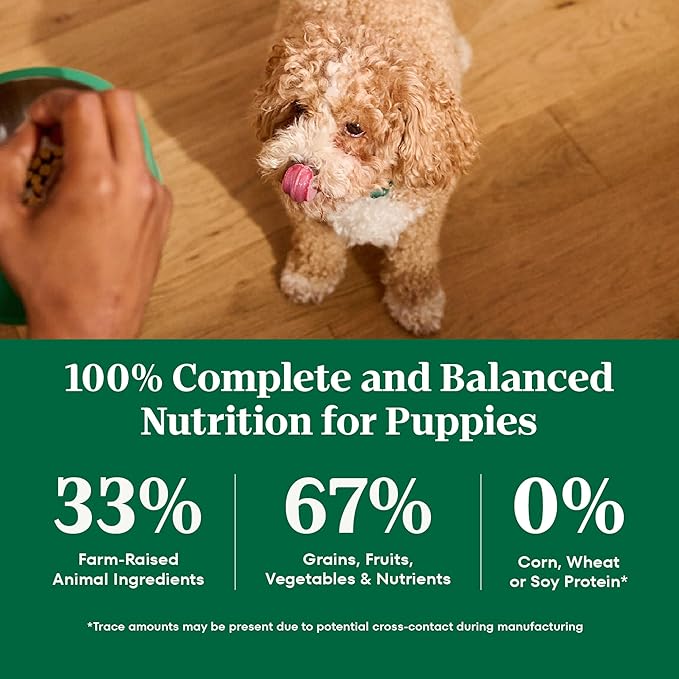 Nutro Natural Choice Lamb & Brown Rice Puppy Food Dry Recipe, 12 lb. Bag