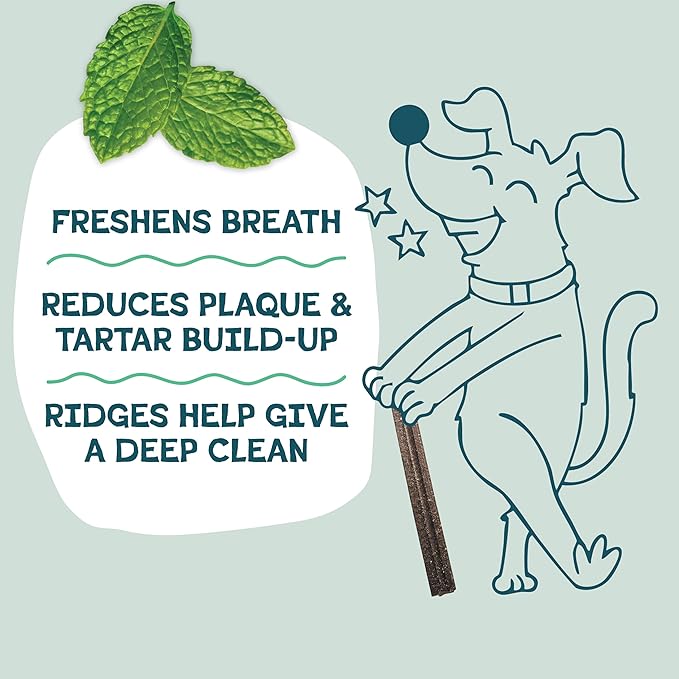 Shameless Pets Dental Treats for Dogs, Carrate Chomp - Healthy Dental Sticks with Skin & Coat Support for Teeth Cleaning & Fresh Breath - Dog Bones Chews Free from Grain, Corn & Soy