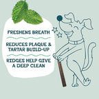 Shameless Pets Dental Treats for Dogs, Carrate Chomp - Healthy Dental Sticks with Skin & Coat Support for Teeth Cleaning & Fresh Breath - Dog Bones Chews Free from Grain, Corn & Soy