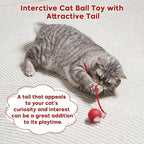 Interactive Dog & Cat Toy, Electric Automatic Rolling Moving Toys, Self Activated Play Smart Rolling Ball for Dogs & Cats, Chase Teaser Pet Ball for Bored Indoor Cats & Dogs