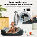 Miguel Washable Cat Beds for Indoor Cats with Removable Cushion/Pillow, Easy to Wash Small Dog Bed with Side, Large Rectangle Kitten Bed Cuddle Puppy Bed with Anti-Slip Bottom, Dark Gray 20 Inch