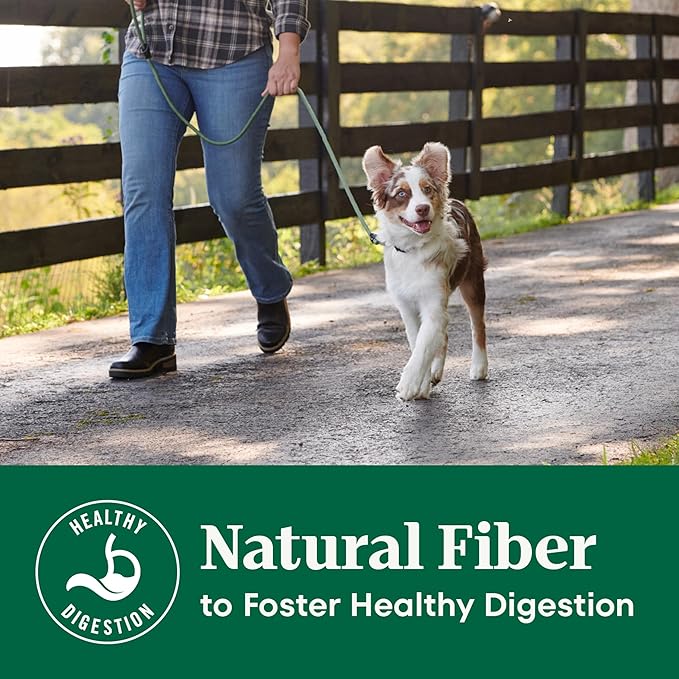 Nutro Natural Choice Lamb & Brown Rice Puppy Food Dry Recipe, 12 lb. Bag