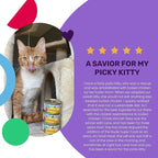 I and love and you Wet Cat Food - Chicky-Da-Lish Stew - Chicken Recipe, Grain Free, Filler Free, 3oz Pack of 24 Cans