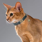 Cat Collar Breakaway, Personalized Leather Cat Collar with Bells-Adjustable Customized Collar with Name & Phone Number Tag for Girl Boy Cats -Quick Release Buckle for Cats & Kittens(Green)