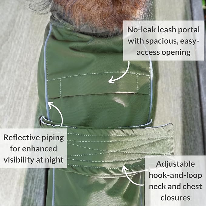 DJANGO Dog Jacket & Raincoat – Lightweight Water-Resistant Coat for Small, Medium & Long Dogs Like Dachshunds – Reflective, Adjustable Fit, Harness-Compatible & Easy-Access Harness Hole - Green Medium