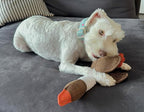 Dog Toy Bundle – 2 Durable Plush Squeaky Goose Toys + 1 Carrot Rope Chew Toy – Interactive Play Set for Small & Medium Dogs