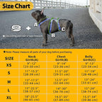 Huntboo Escape Proof Dog Harness, No Pull Reflective Harness with Lift Handle, Adjustable Pet Vest with Front and Back Leash Clips for Small Medium Large Dogs Walking Hiking Training (Vista Blue,L)