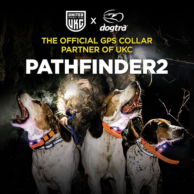 Dogtra 2 Dog Pathfinder 2 GPS Dog Tracker e Collar with PATHFINDER2 Green Add on Receiver LED Light No Monthly fees Free App Waterproof Smartwatch Control Long Range Multiple Dogs Smartphone Required