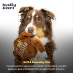 Huxley & Kent Funny Dog Toy w/Squeaker – Thanksgiving Fall Power Plush Squeaky Dog Toys for Small, Medium & Large Dogs – Soft Stuffed Animal for Indoor Play & Fetch - I'm Stuffed Turkey, Large