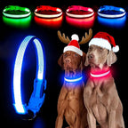 YFbrite Light up Dog Collar, USB Rechargeable LED Puppy Collar Super Bright Adjustable Glowing Dog Lights for Night Walking (Blue, Small)