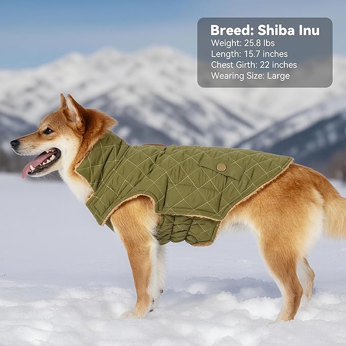 Dog Winter Coat, Dog Jacket with Warm Fleece Lined, Waterproof Windproof Dogs Cold Weather Coats Clothes for Puppy Dogs Snowsuit with Leash Hole, Green Small