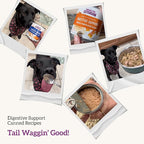 Health Extension Digestive Support Variety Pack Wet Dog Food, (9 oz, Case of 6 Cans) – Complete & Balanced with Superfoods & Gravy for Optimal Digestion