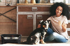 Neater Feeder Express Mess Proof Dog Bowls Elevated for Small Breeds Under 15 Lb, Made in USA, No Spill Raised Dog Food Bowl Stand, Stainless Steel Food and Water Bowl Set, Feeding Station, Black