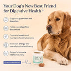Pawfy Probiotics for Dogs | Supports Digestive Health, Diarrhea for Small, Large Dogs | Improves Gut Health | Anti Yeast Supplements | Skin Health Seasonal Allergies Support - 30 Chews (Chicken)