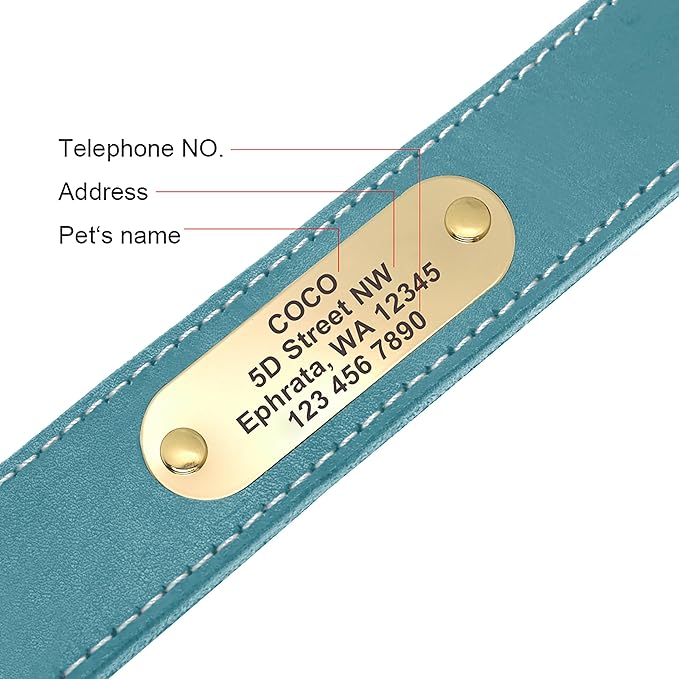 Didog Genuine Leather Dog Collars with Engraved Nameplate, Personalized Soft Leather Dog Collar with Custom ID Tag, Brown/Green/Red for Medium Large Dogs (L,Blue)