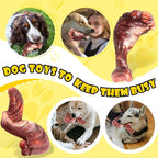 Dog Chew Toys for Aggressive Chewers: 2 Pack Indestructible &ToughToys for Aggressive Chewers-Dog Bones Nylon Toys for Small, Medium, Large Breeds-Super Chewer Toys to Keep Them Busy