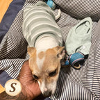 KYEESE 2Pack Waffle Dog Shirts for Small Dogs Stretchy T-Shirts Lightweight Tank Top Sleeveless Striped Vest Breathable Cat Tee, Small, Pink+Striped