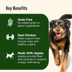 Nutrish Grain Free Real Chicken & Apple Recipe Premium Paté Wet Dog Food, 13 oz. Can, 12 Count, Packaging May Vary (Rachael Ray)