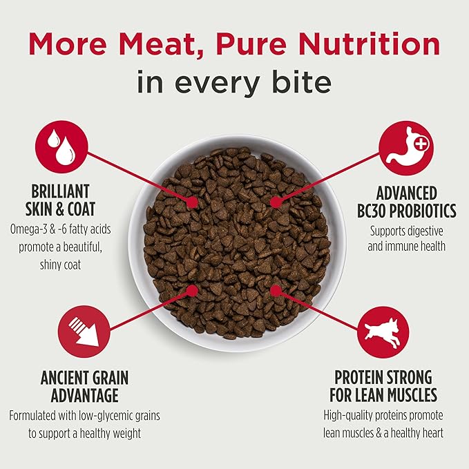Nulo Frontrunner Ancient Grains High-Protein Dog Food, Turkey, Trout & Spelt Recipe- Natural Dry Dog Food with Probiotics, Grain-Inclusive Kibble for Adult Dogs, 5 lb Bag