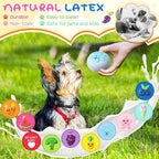 Hungdao 10 Pack Dog Squeaky Toys Soft Latex Squeaky Dog Toys Small Squeaky Balls Interactive Pet Chewing Toys for Puppy Training Interactive Fetch Play Supplies (Fruit)