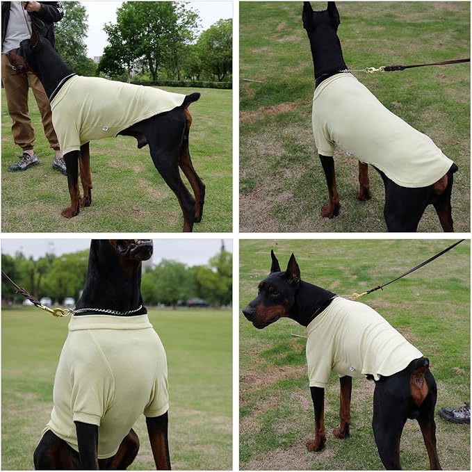 Lovelonglong Ribbed Dog T-Shirt Cotton Knitted Dog Sweaters for All Season Pet T-Shirts for Large Medium Small Dogs Chartreuse XL