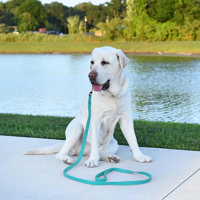 Dogline Biothane Waterproof Dog Leash Strong Coated Nylon Webbing with Black Hardware Odor-Proof Easy to Clean High Performance for Small or Large Dogs Made in USA 2 ft Lead, Sky Blue