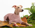 Dog Sweaters for Small Dogs Girls Boys, Striped Pet Sweaters for Fall Winter Dog Clothes, Turtleneck Pullover Knitwear for Small Medium Large Dogs