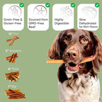 MASSTICK Bully Sticks for Dogs 4 Inch – Extra Thick, Long Lasting, Odor Free Beef Dog Chew Sticks – All Natural, Fully Digestible Treats for Small & Large Dogs – 8oz Bag