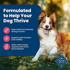 Blue Buffalo Life Protection Formula Adult Dry Dog Food, Helps Build and Maintain Strong Muscles, Made with Natural Ingredients, Salmon & Brown Rice Recipe, 5-lb. Bag